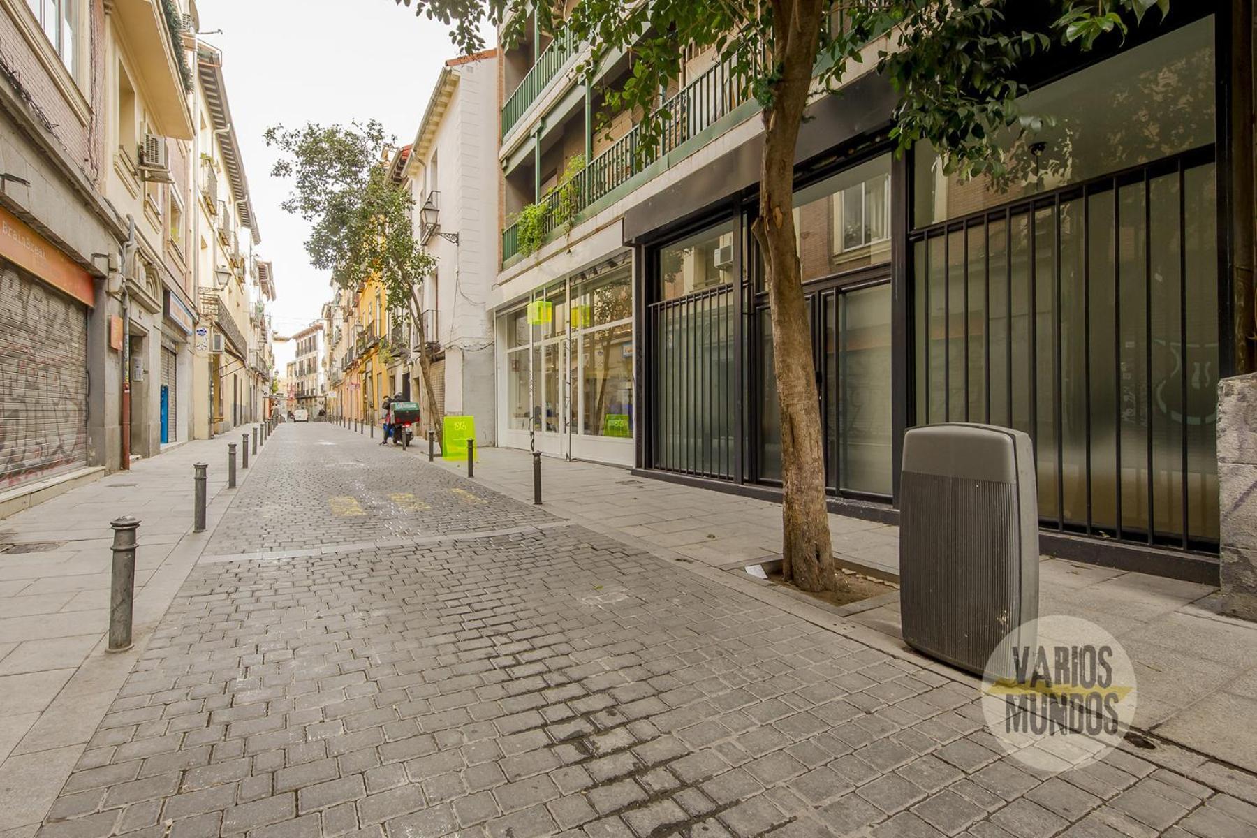Madrid Para 9 En La Latina, Calle Encomienda Apartamento *